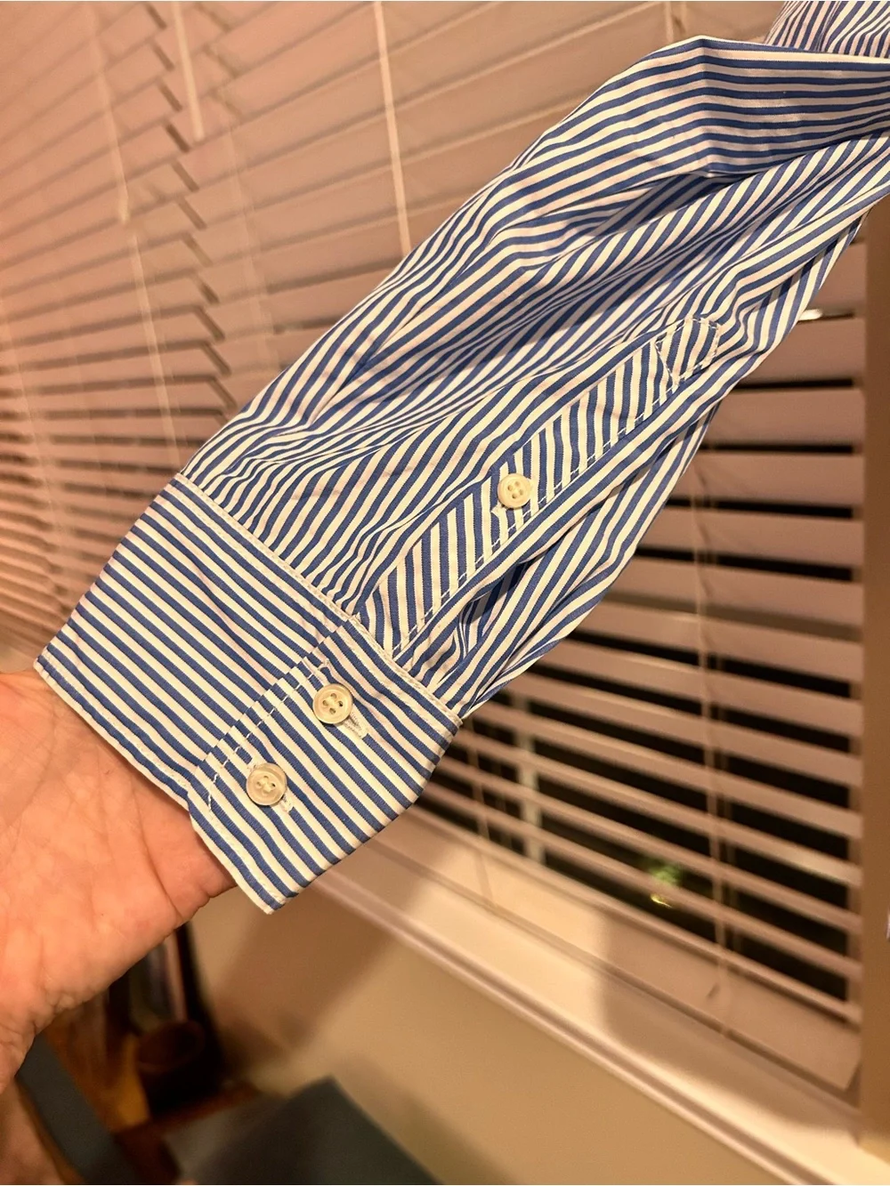 J. Crew Blue and White Vertical Stripe Shirt